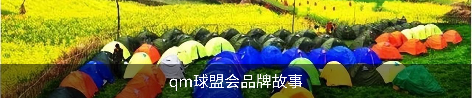qm球盟会品牌故事